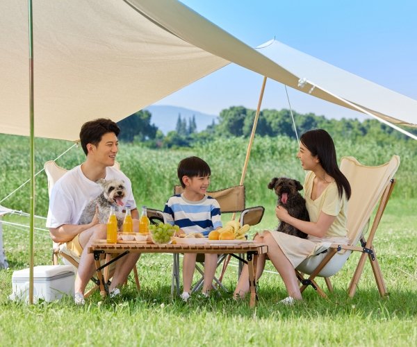 The Story of My Rescue Dog