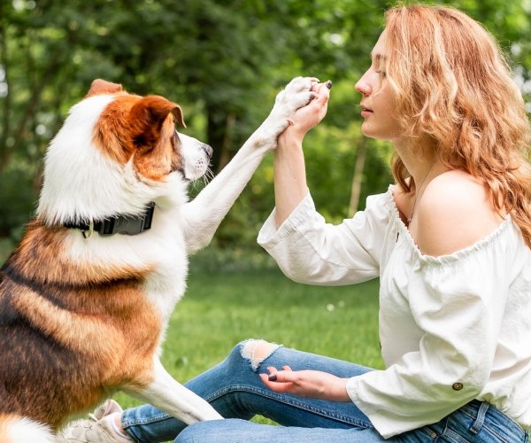 A Tale of Healing and Friendship