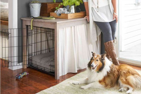 Building Trust and Independence