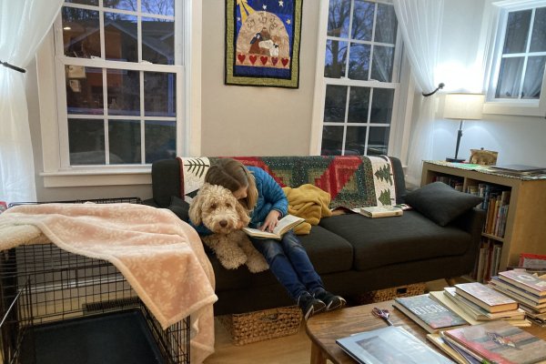 A Cozy Reading Corner for Your Pet
